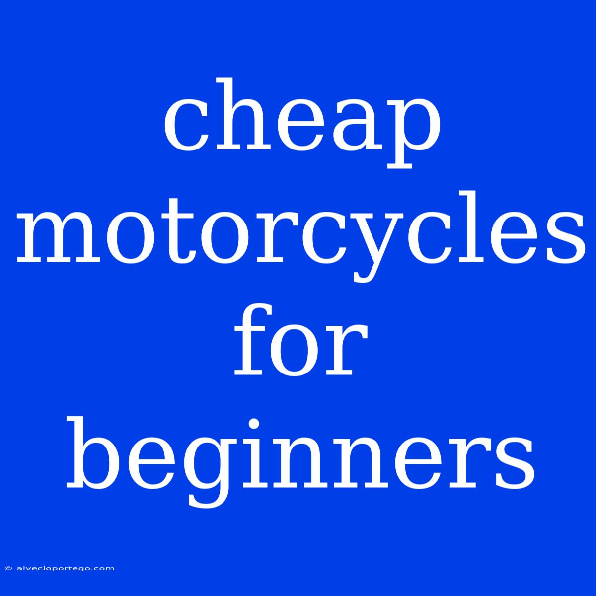 Cheap Motorcycles For Beginners