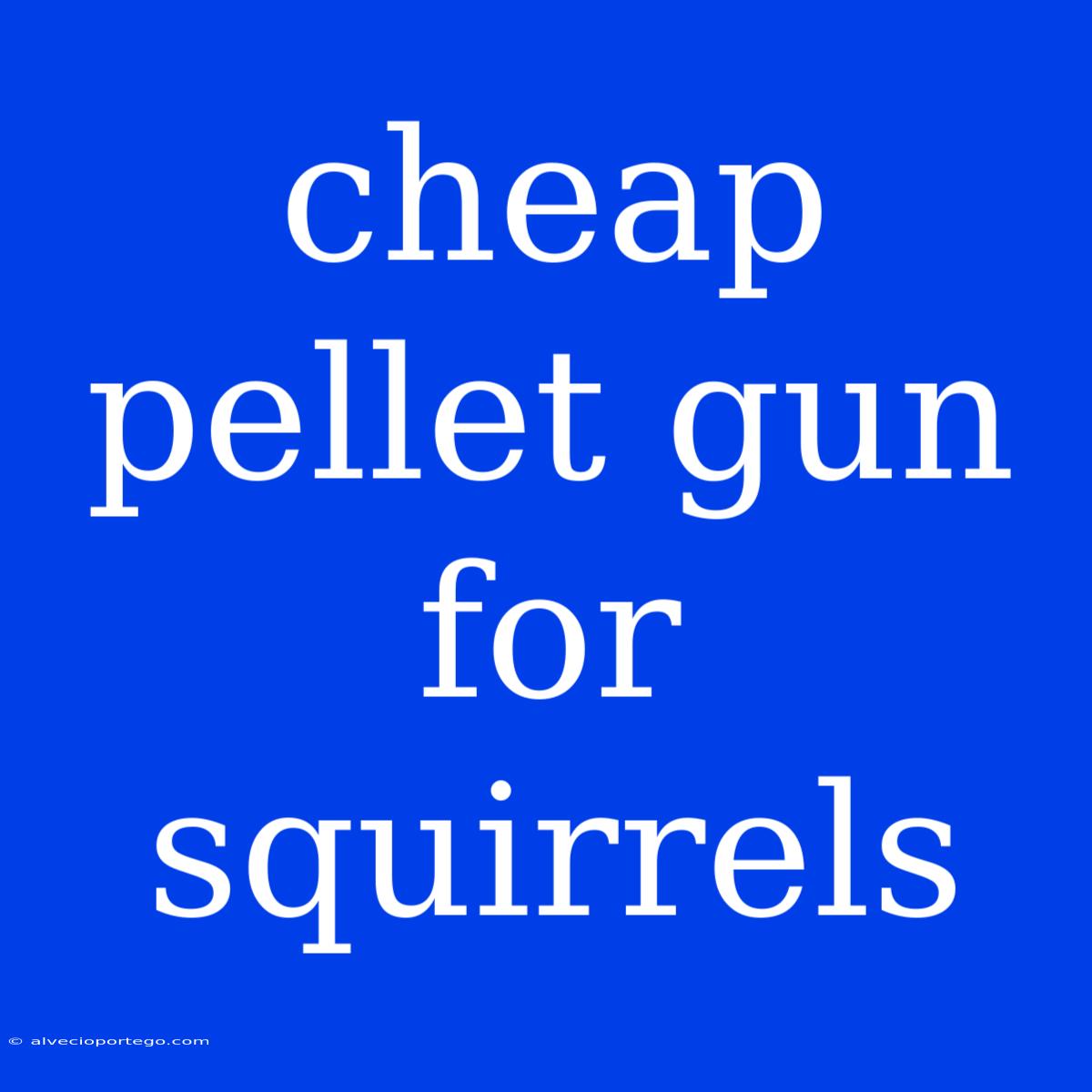 Cheap Pellet Gun For Squirrels