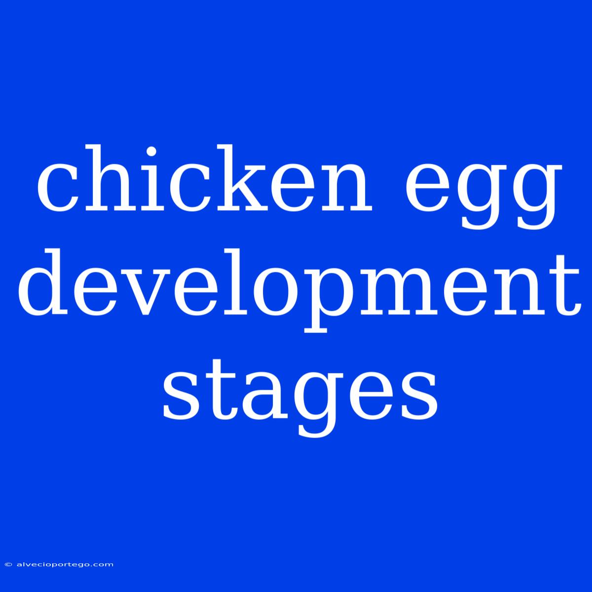 Chicken Egg Development Stages