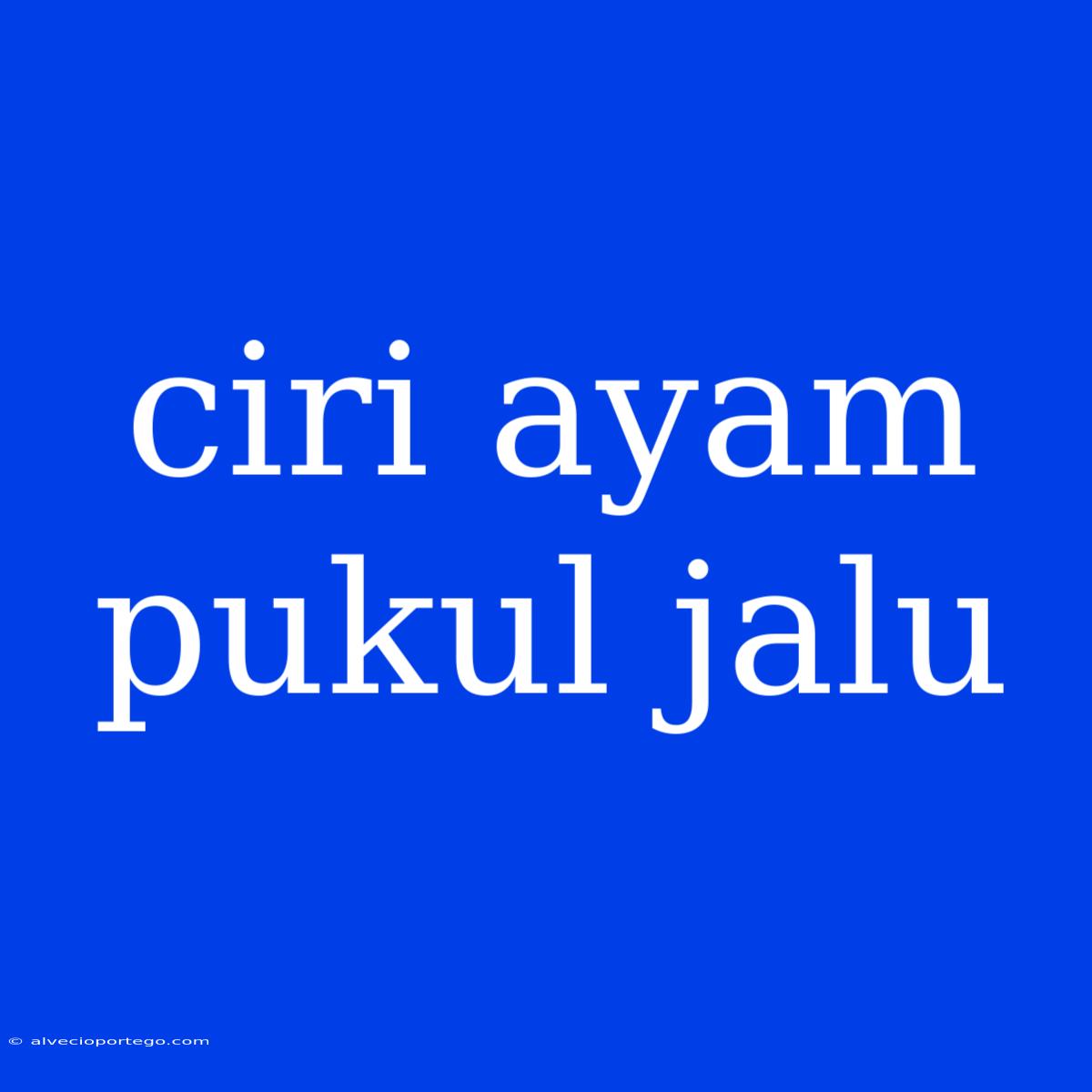 Ciri Ayam Pukul Jalu