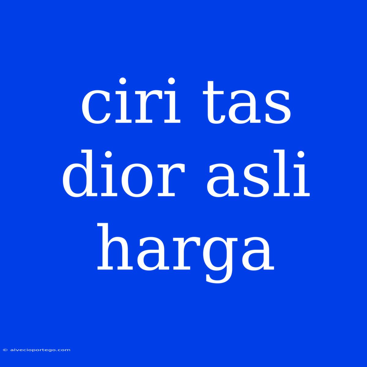 Ciri Tas Dior Asli Harga