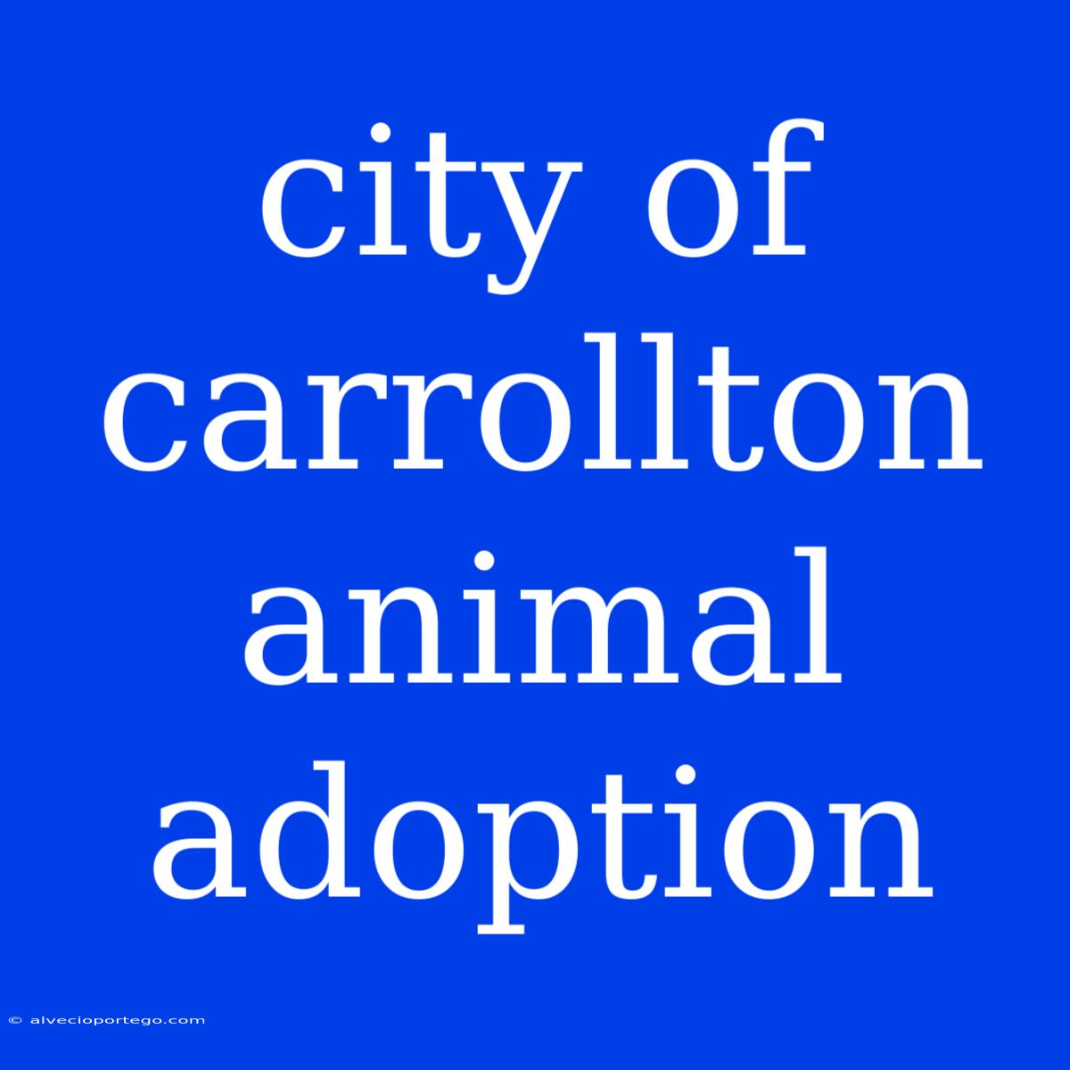 City Of Carrollton Animal Adoption