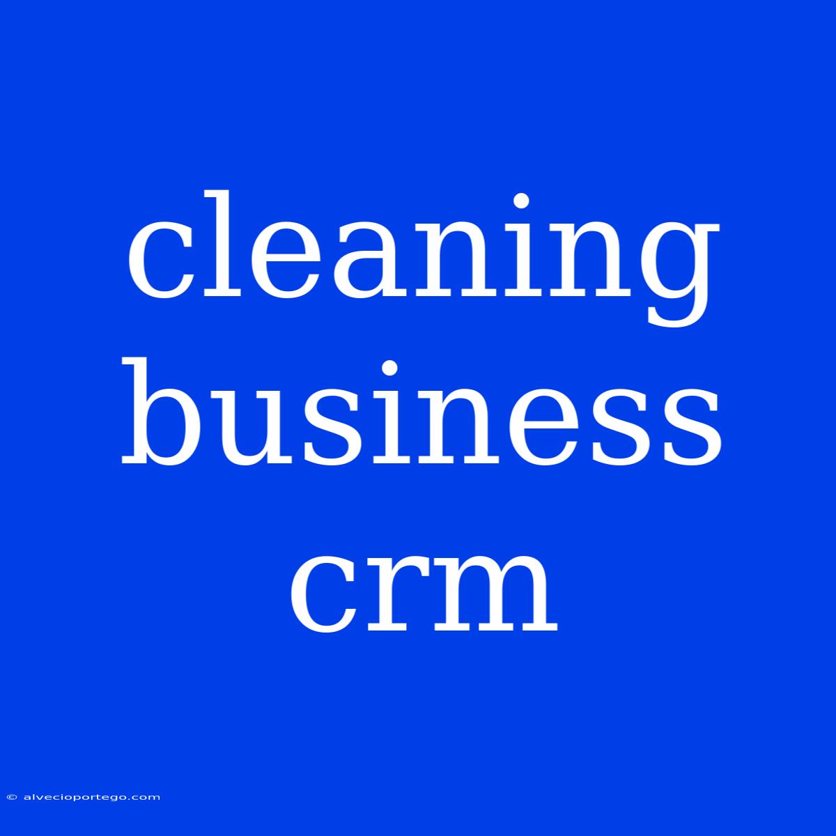 Cleaning Business Crm