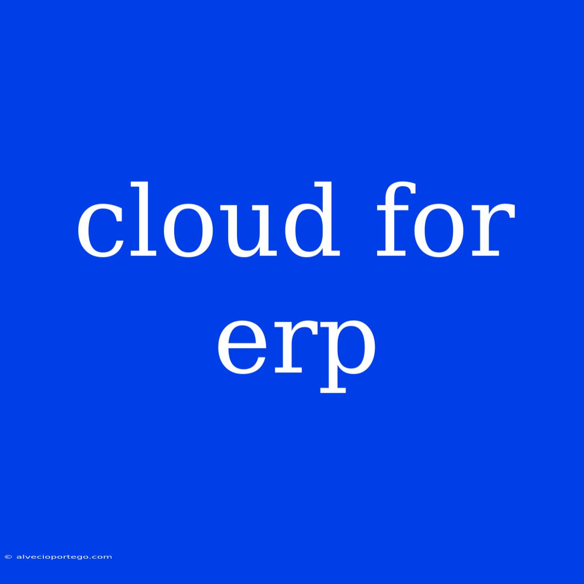 Cloud For Erp