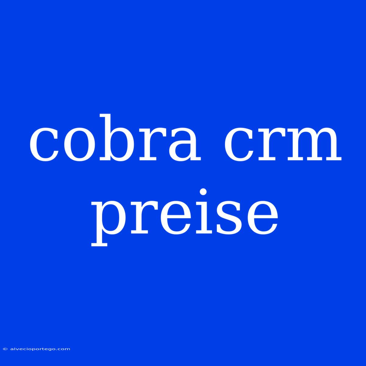 Cobra Crm Preise