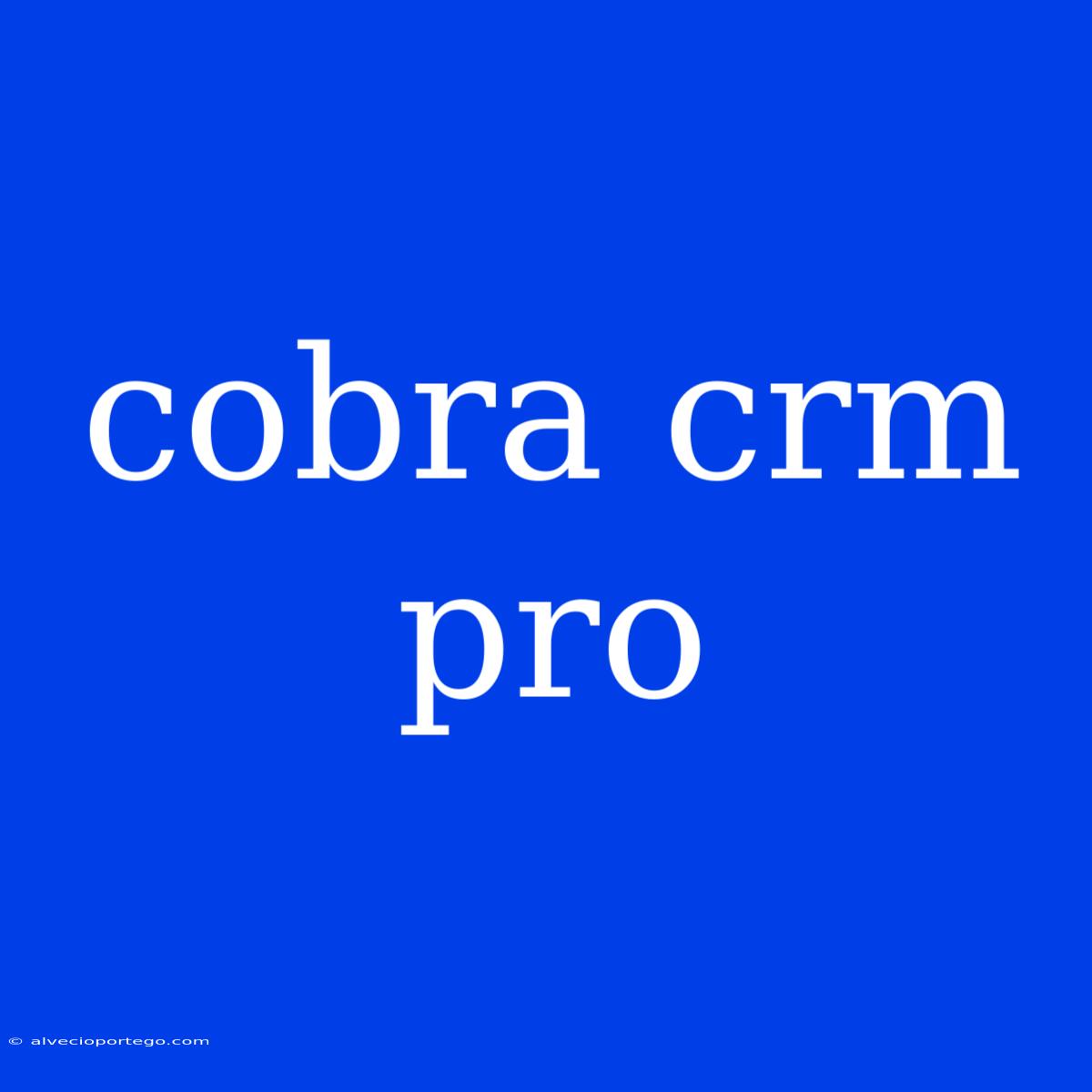 Cobra Crm Pro