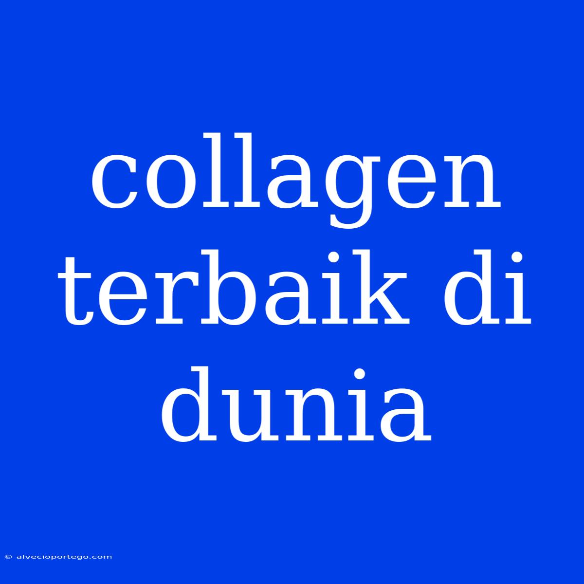 Collagen Terbaik Di Dunia