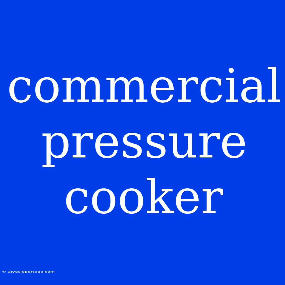 Commercial Pressure Cooker