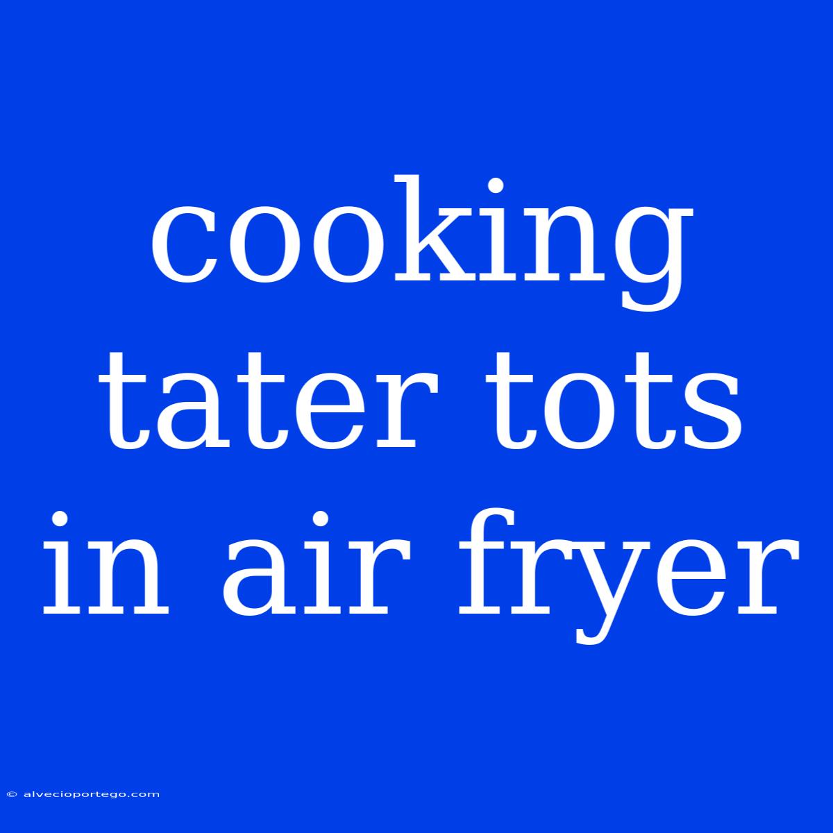 Cooking Tater Tots In Air Fryer