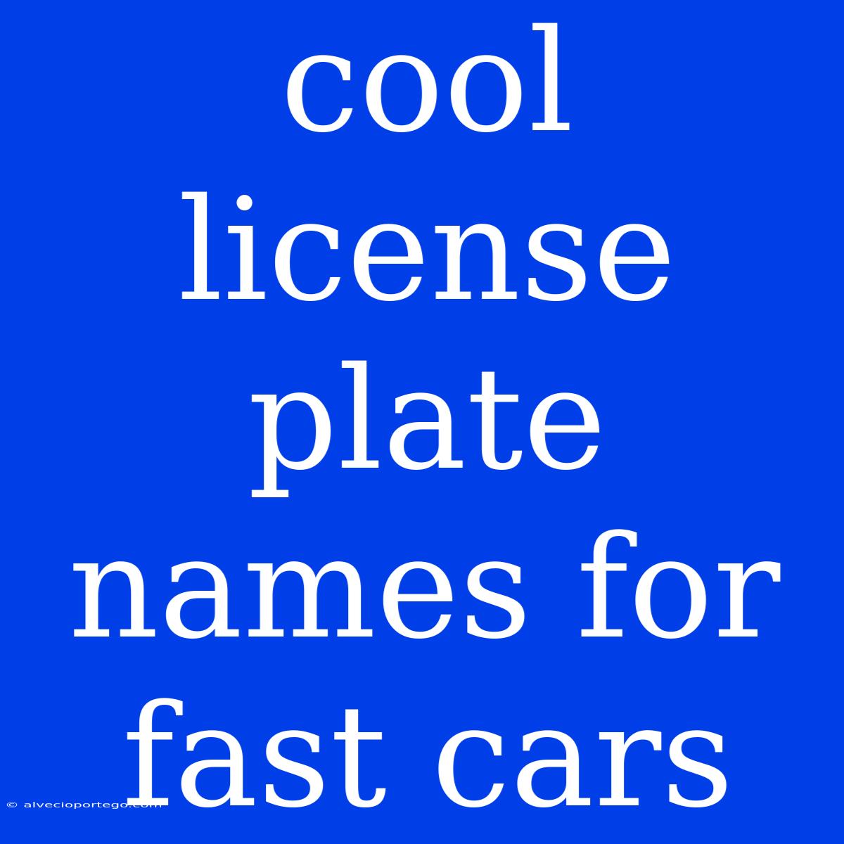 Cool License Plate Names For Fast Cars