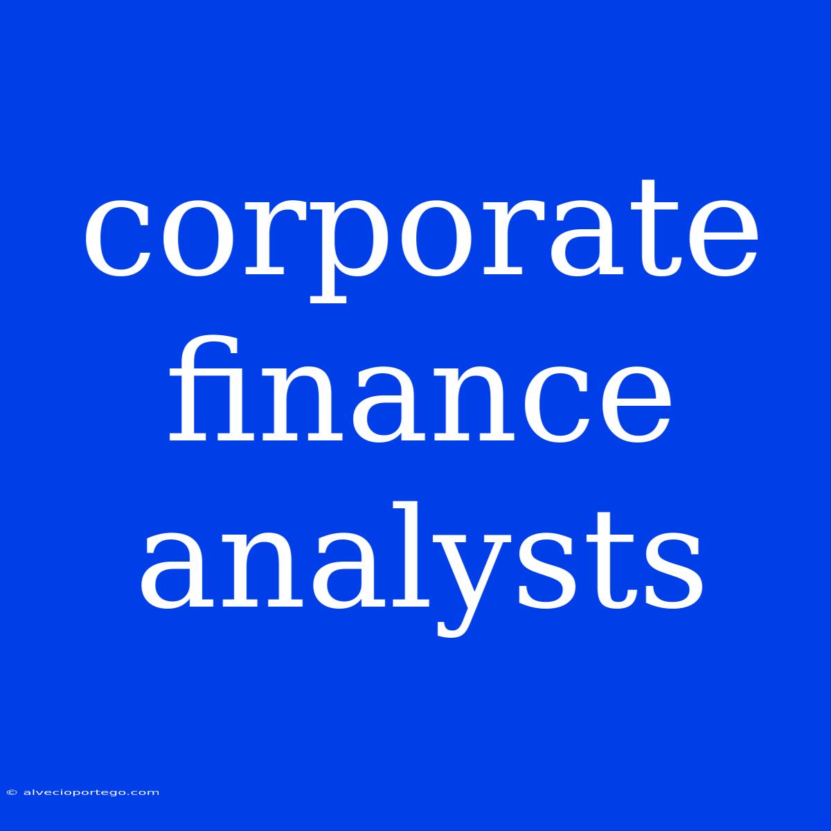 Corporate Finance Analysts