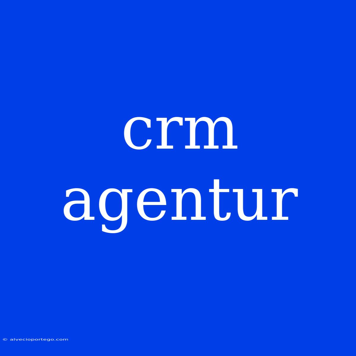 Crm Agentur