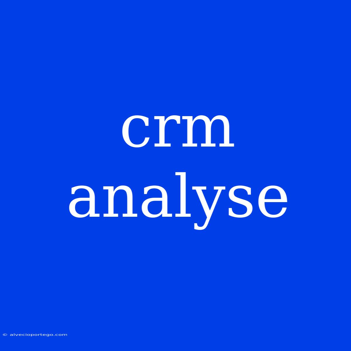 Crm Analyse