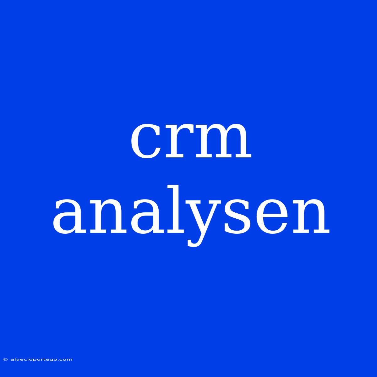 Crm Analysen