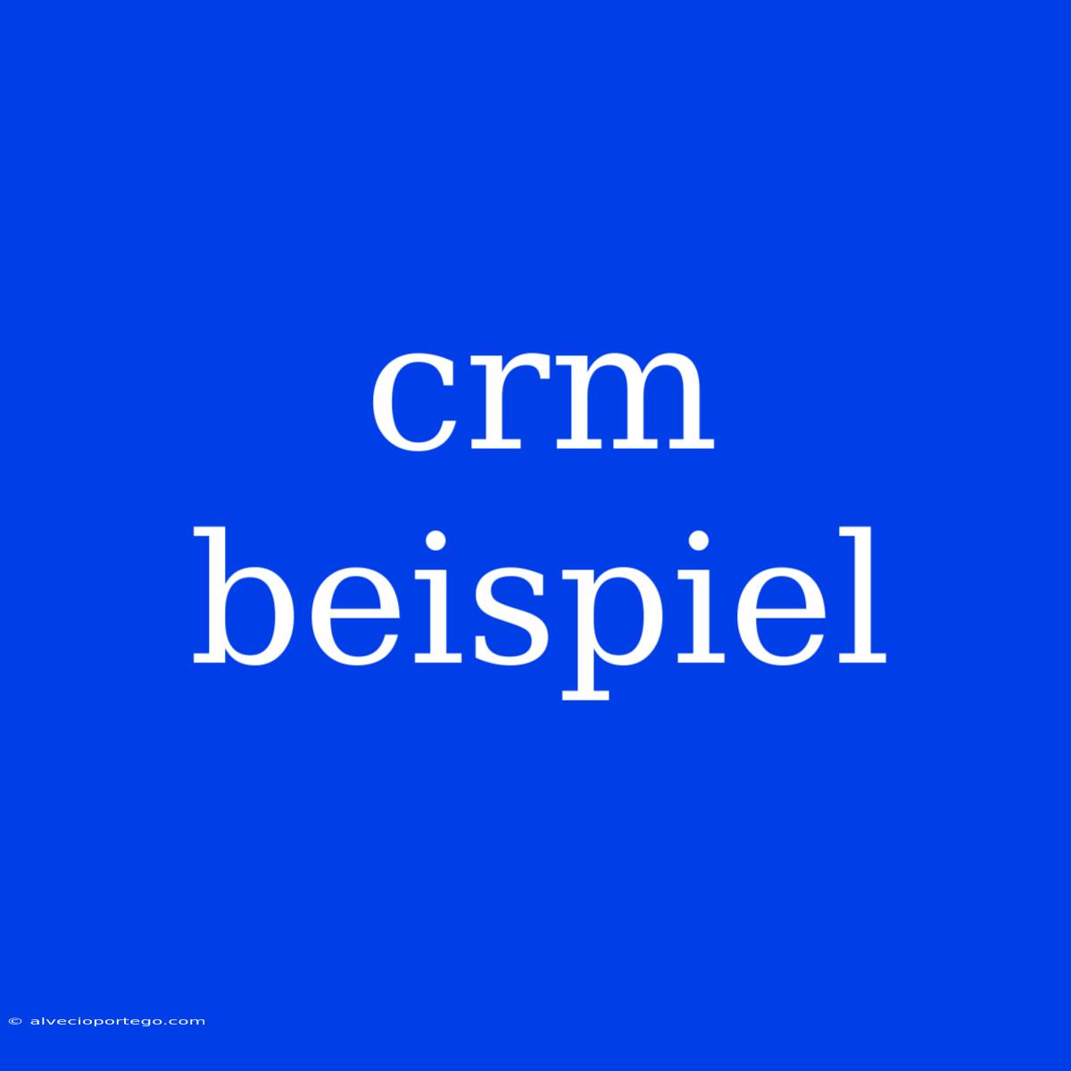 Crm Beispiel