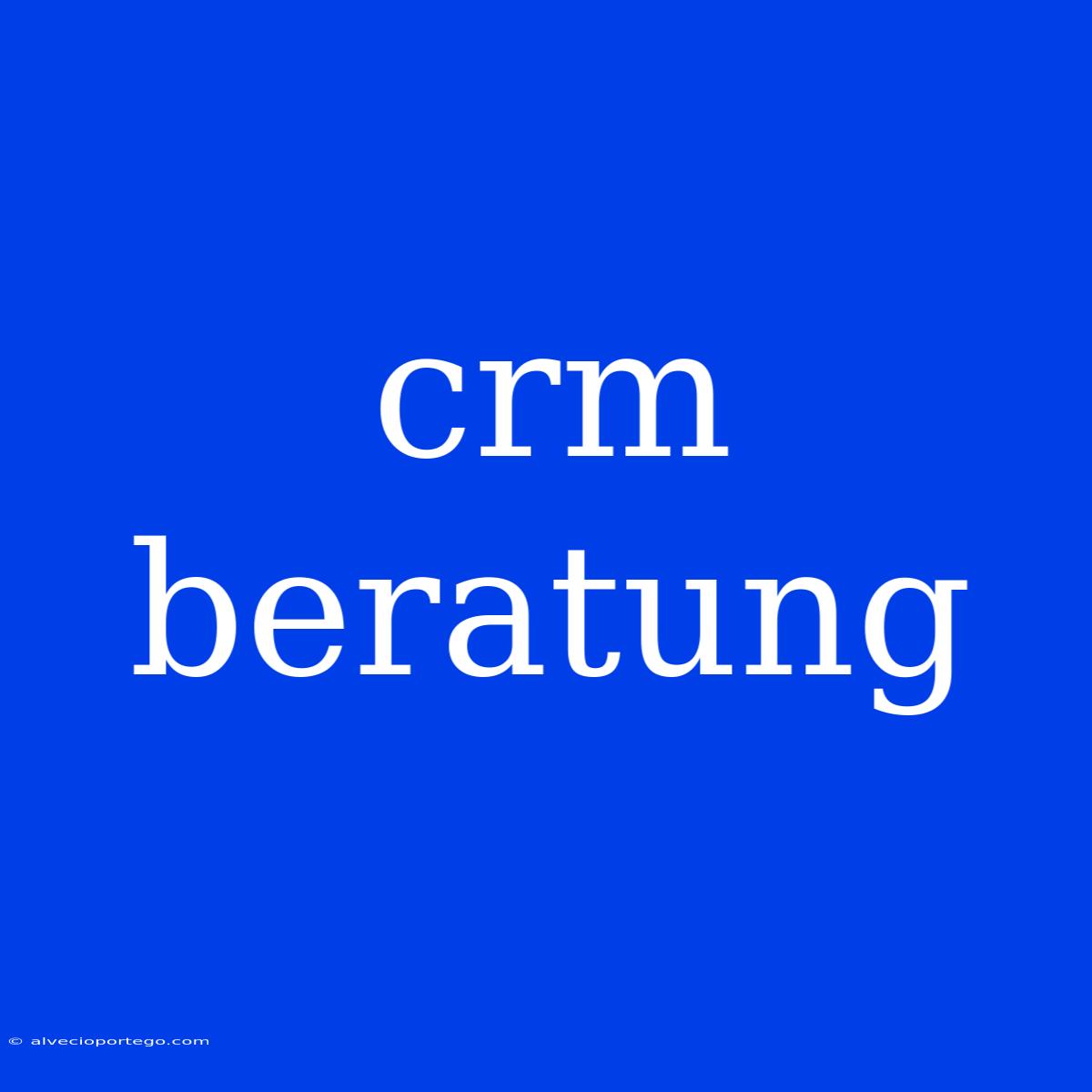 Crm Beratung