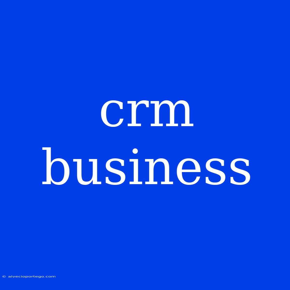 Crm Business