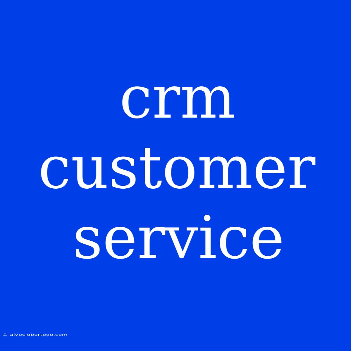 Crm Customer Service