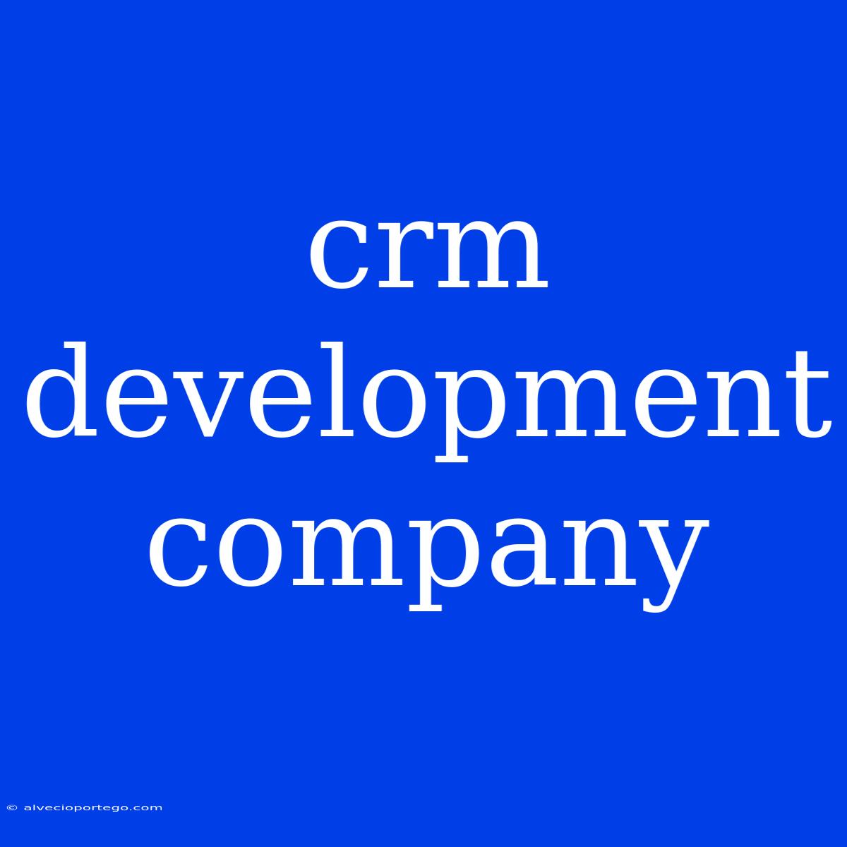 Crm Development Company