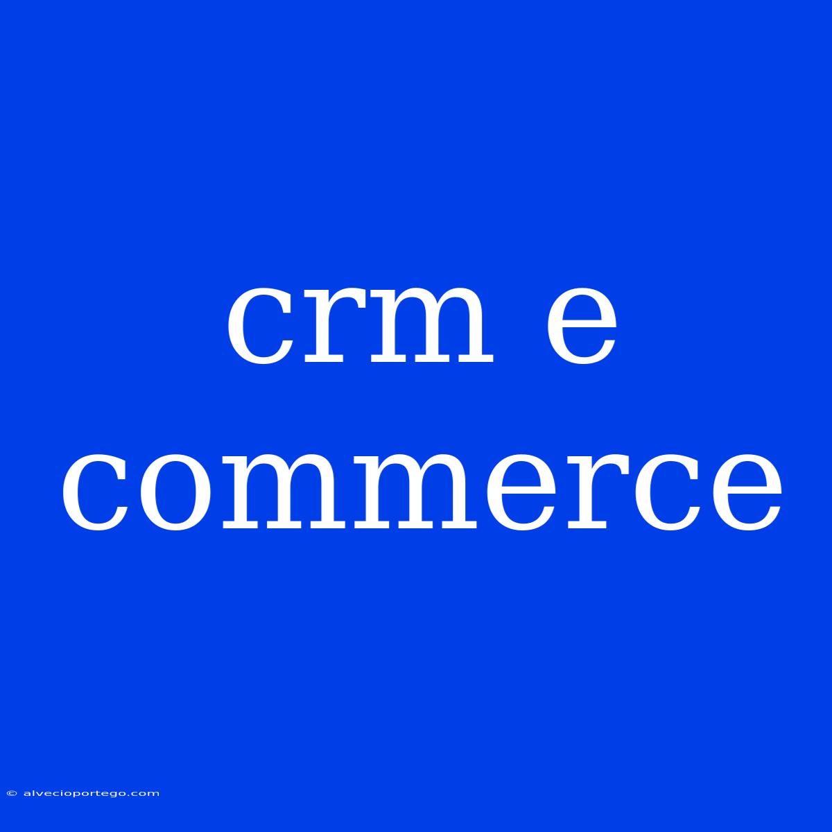 Crm E Commerce