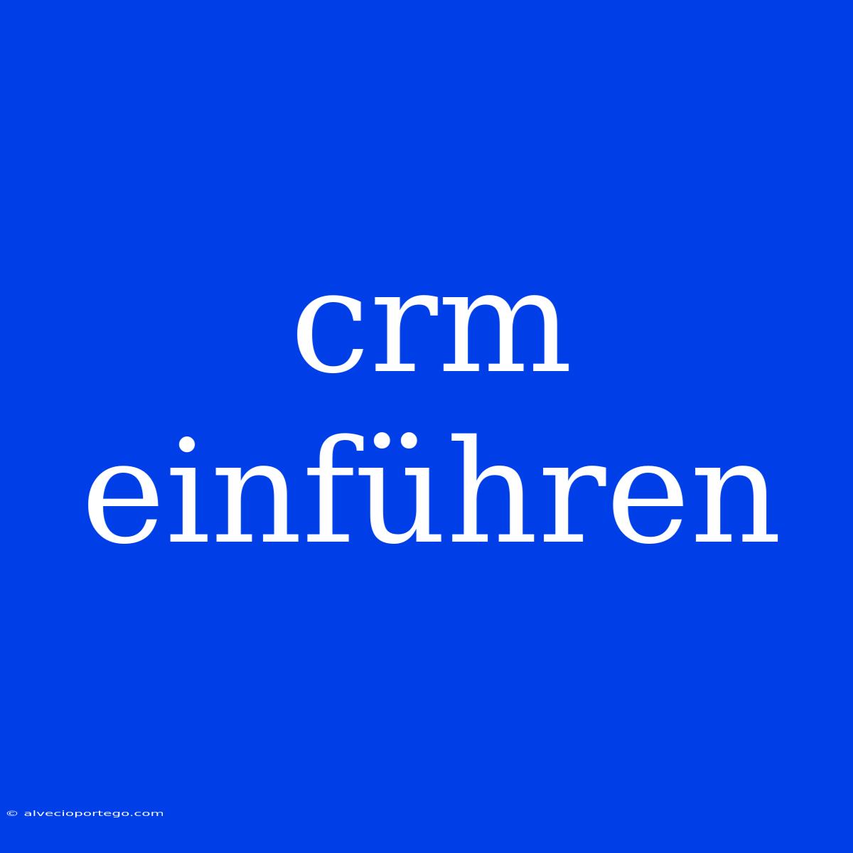 Crm Einführen