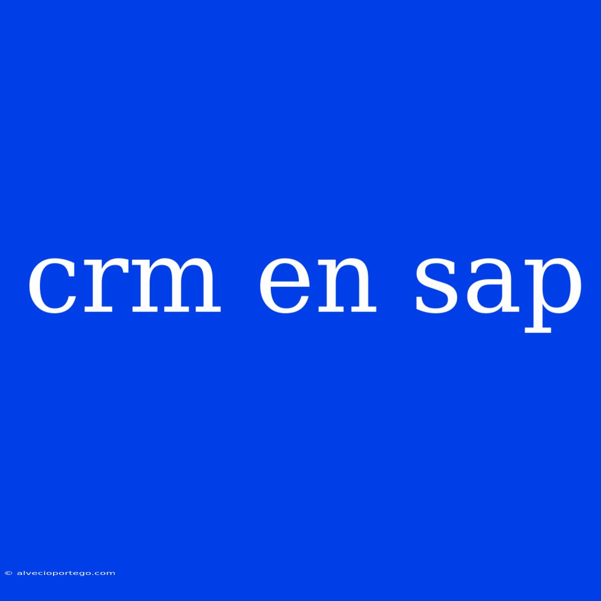 Crm En Sap