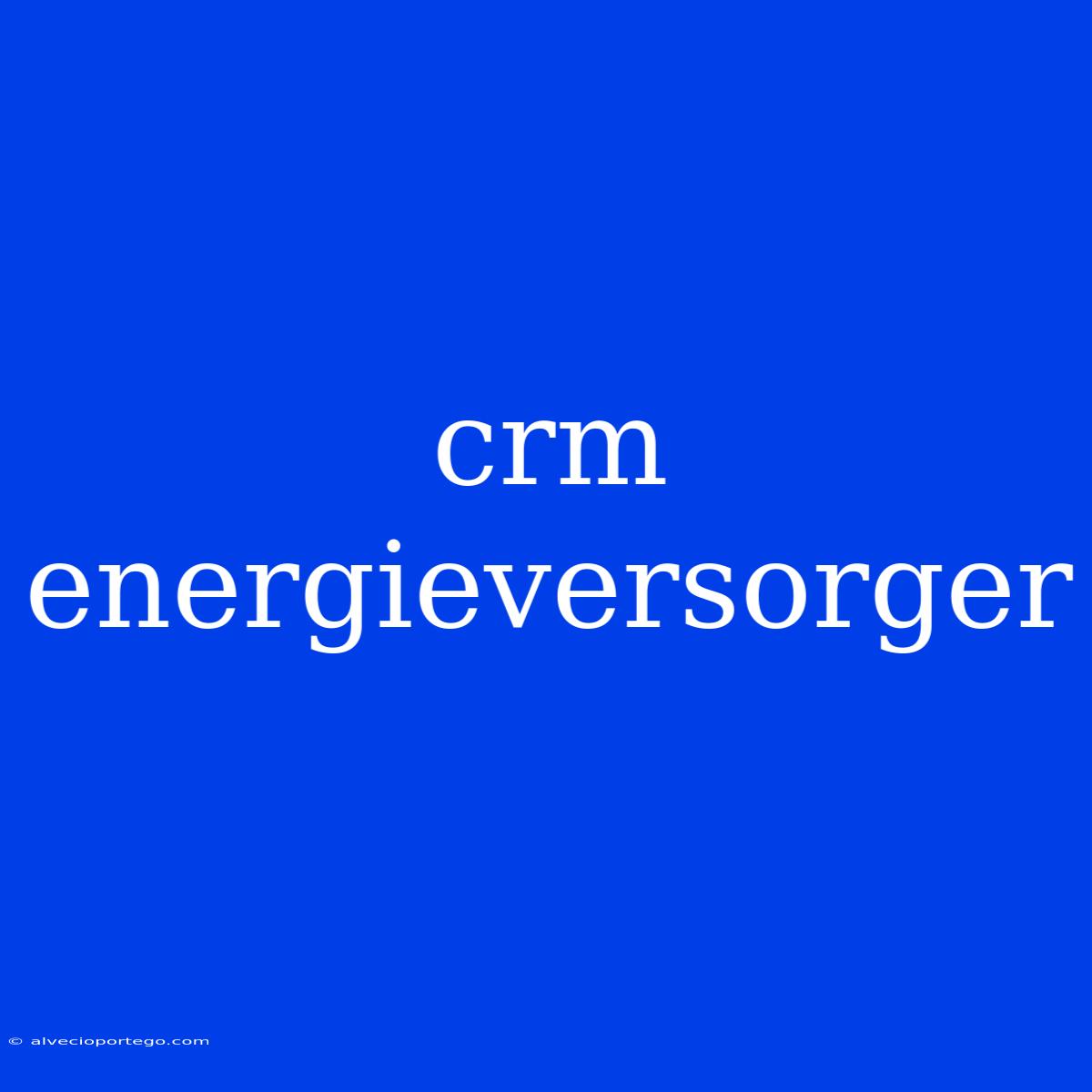 Crm Energieversorger