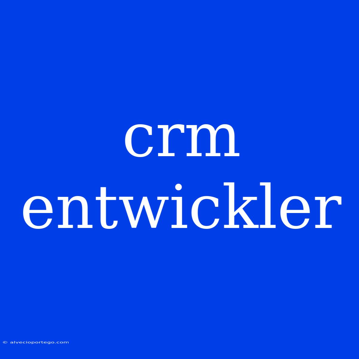 Crm Entwickler