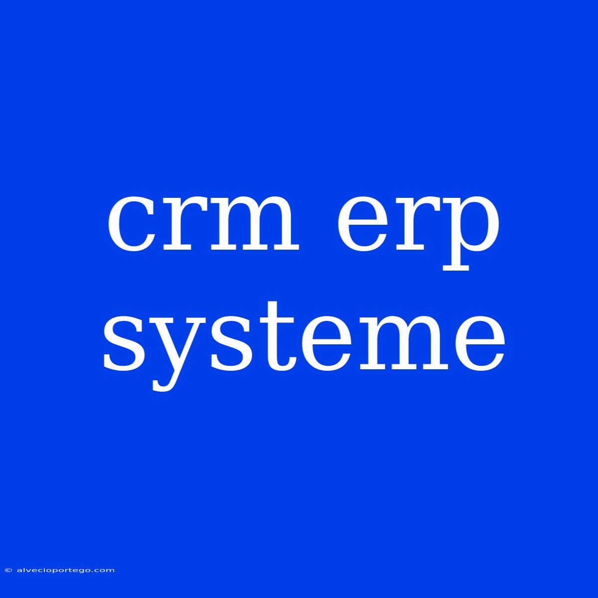 Crm Erp Systeme