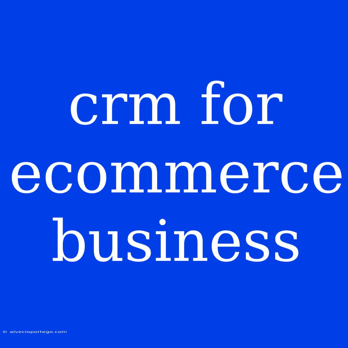 Crm For Ecommerce Business