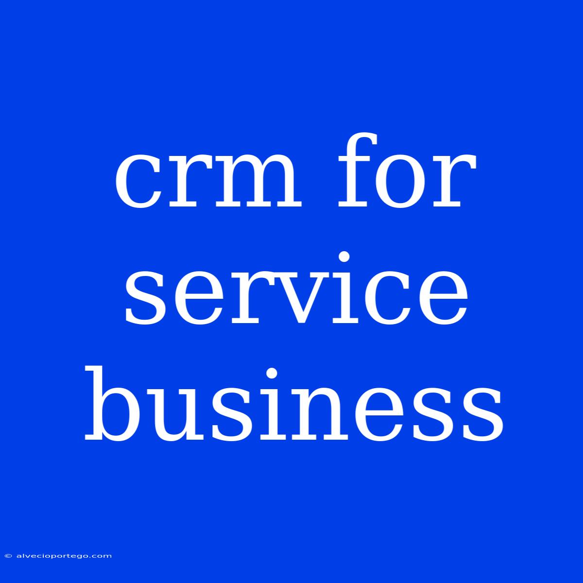 Crm For Service Business