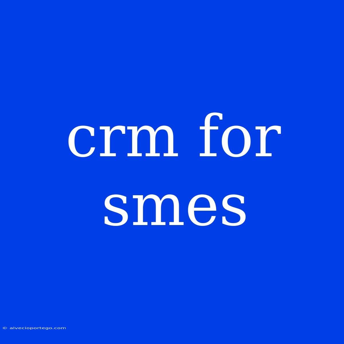 Crm For Smes