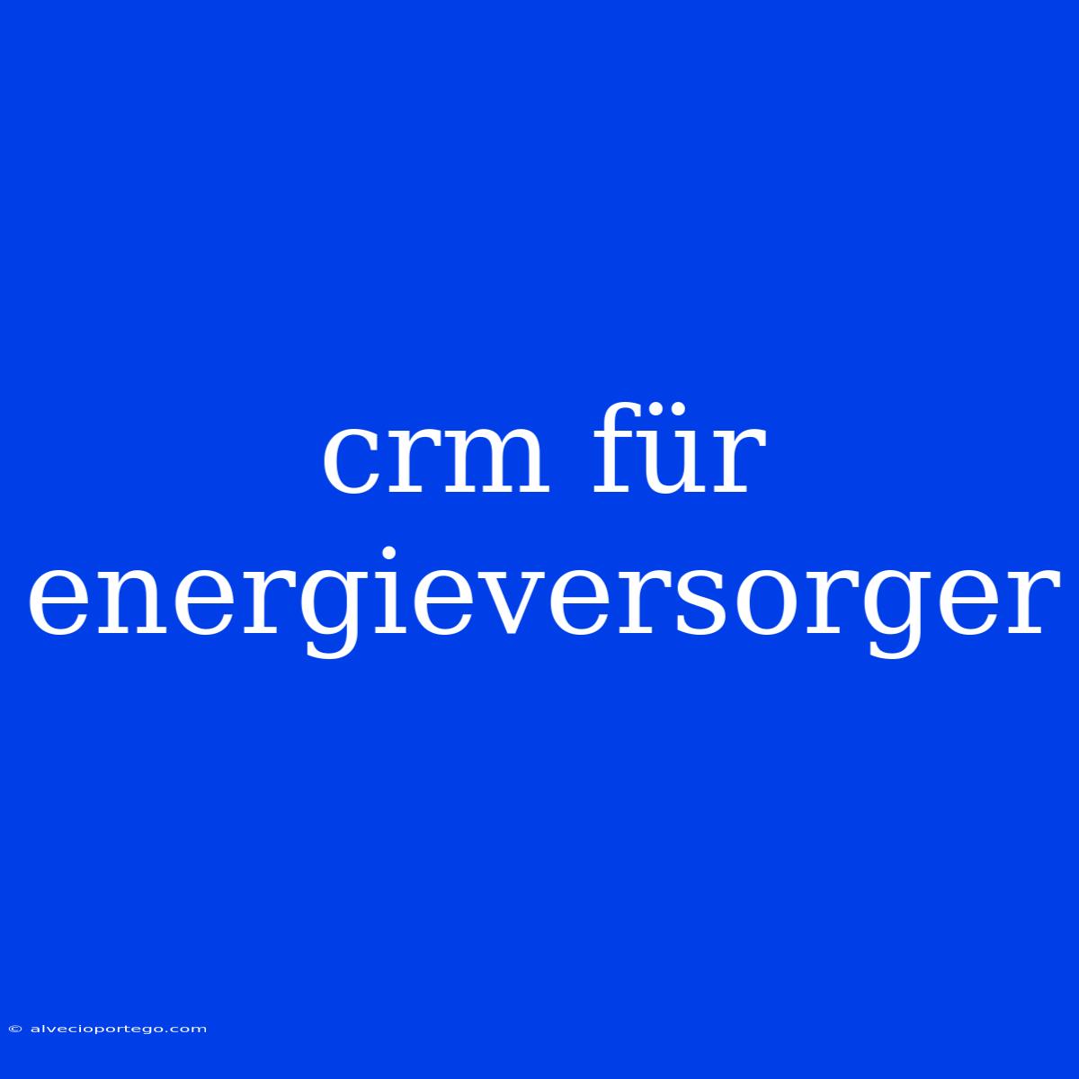 Crm Für Energieversorger