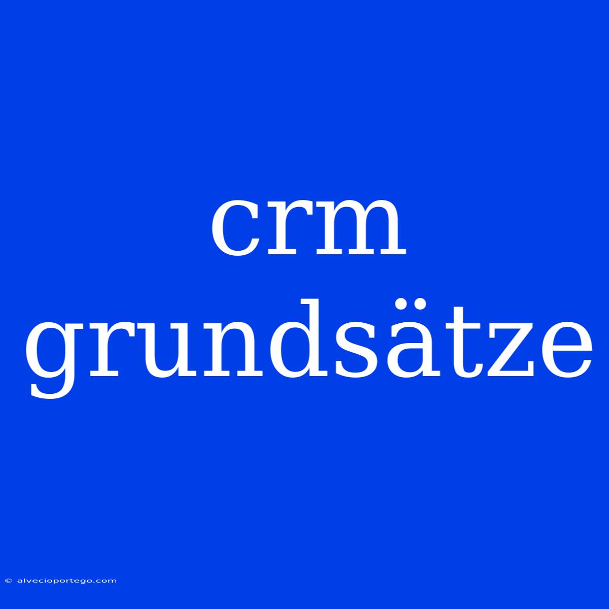 Crm Grundsätze