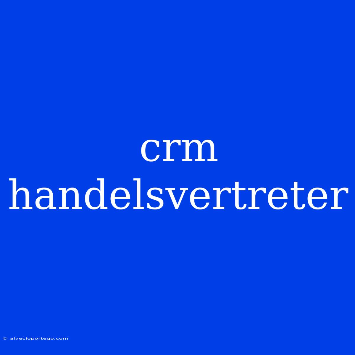 Crm Handelsvertreter