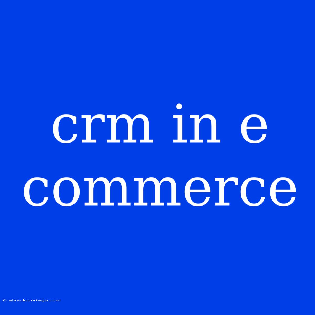 Crm In E Commerce