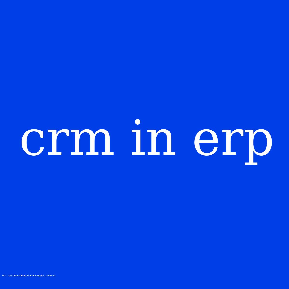 Crm In Erp