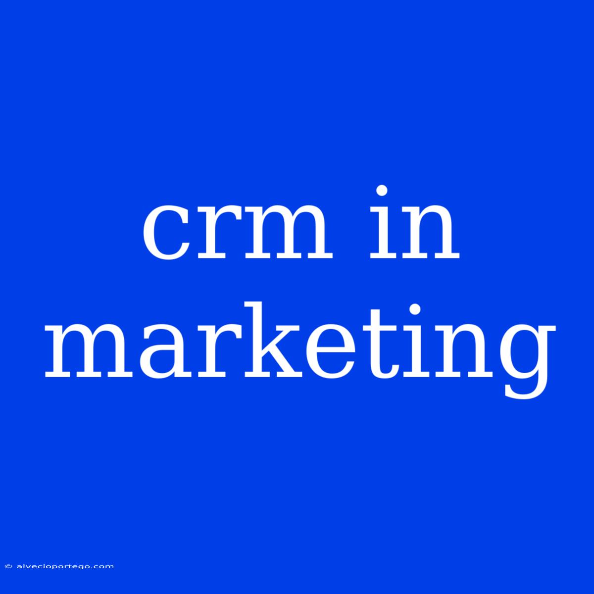 Crm In Marketing