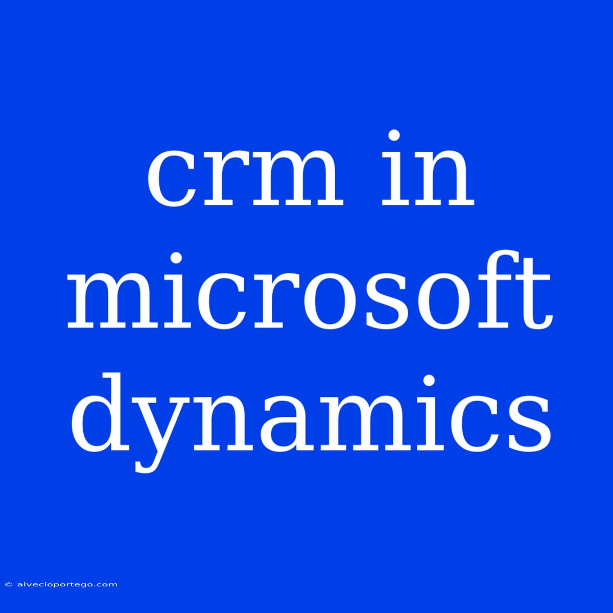 Crm In Microsoft Dynamics