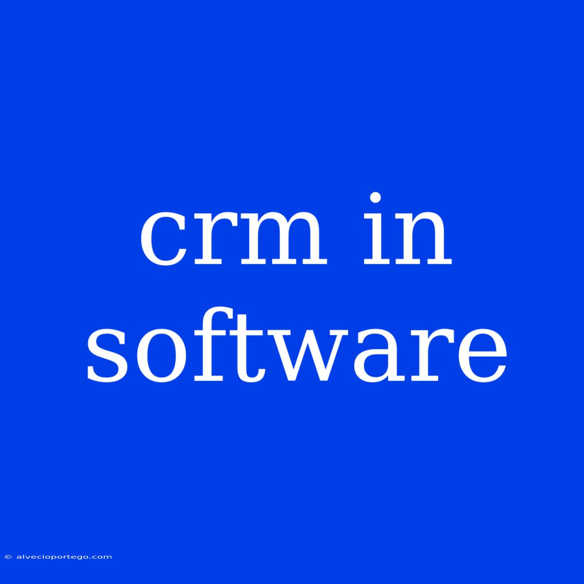 Crm In Software