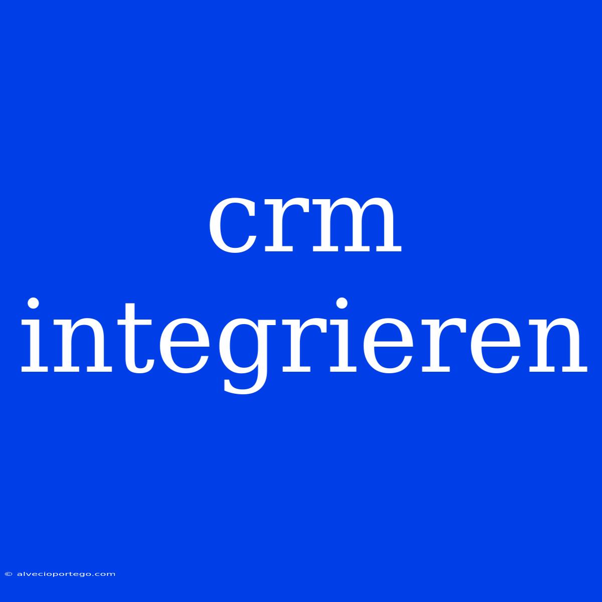 Crm Integrieren