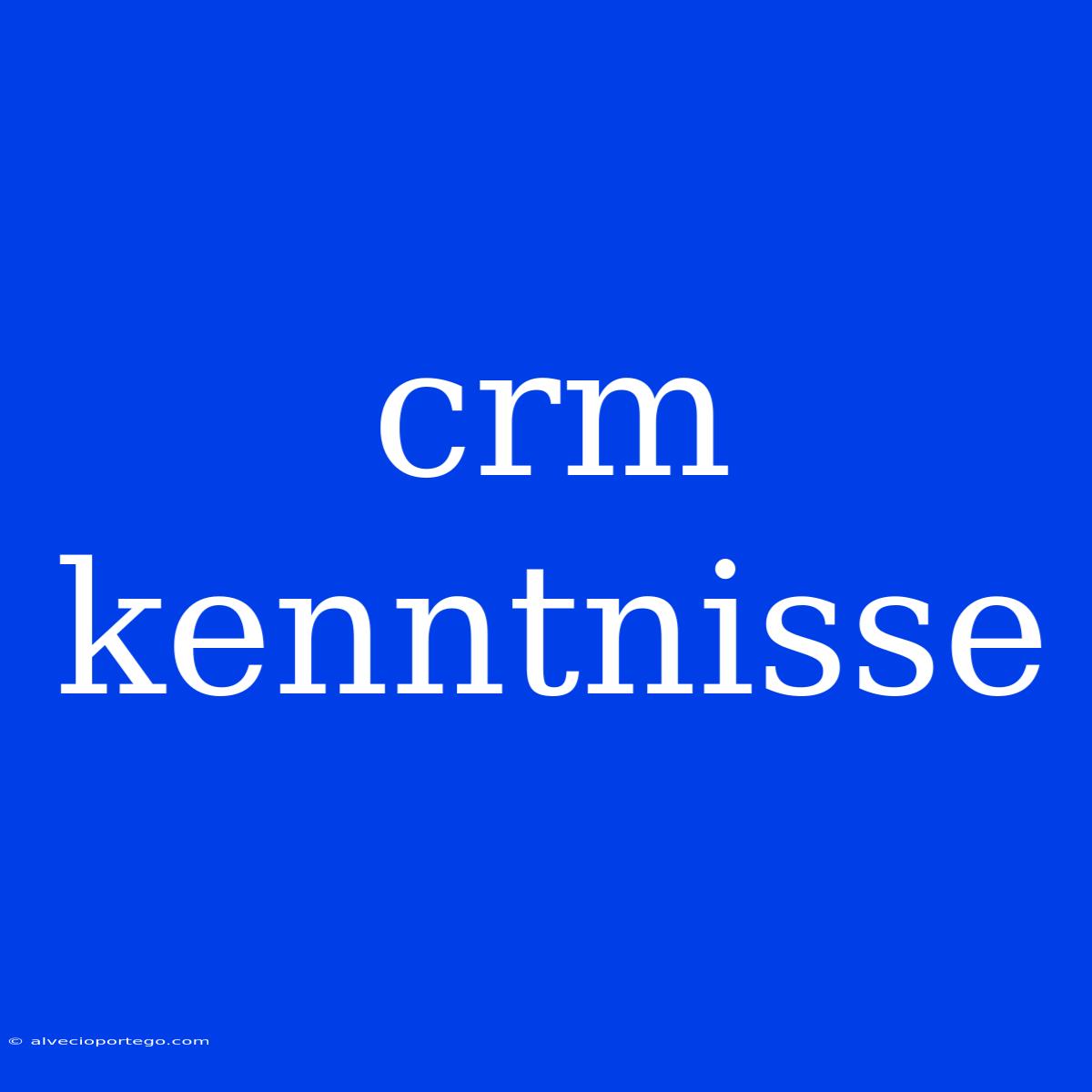 Crm Kenntnisse