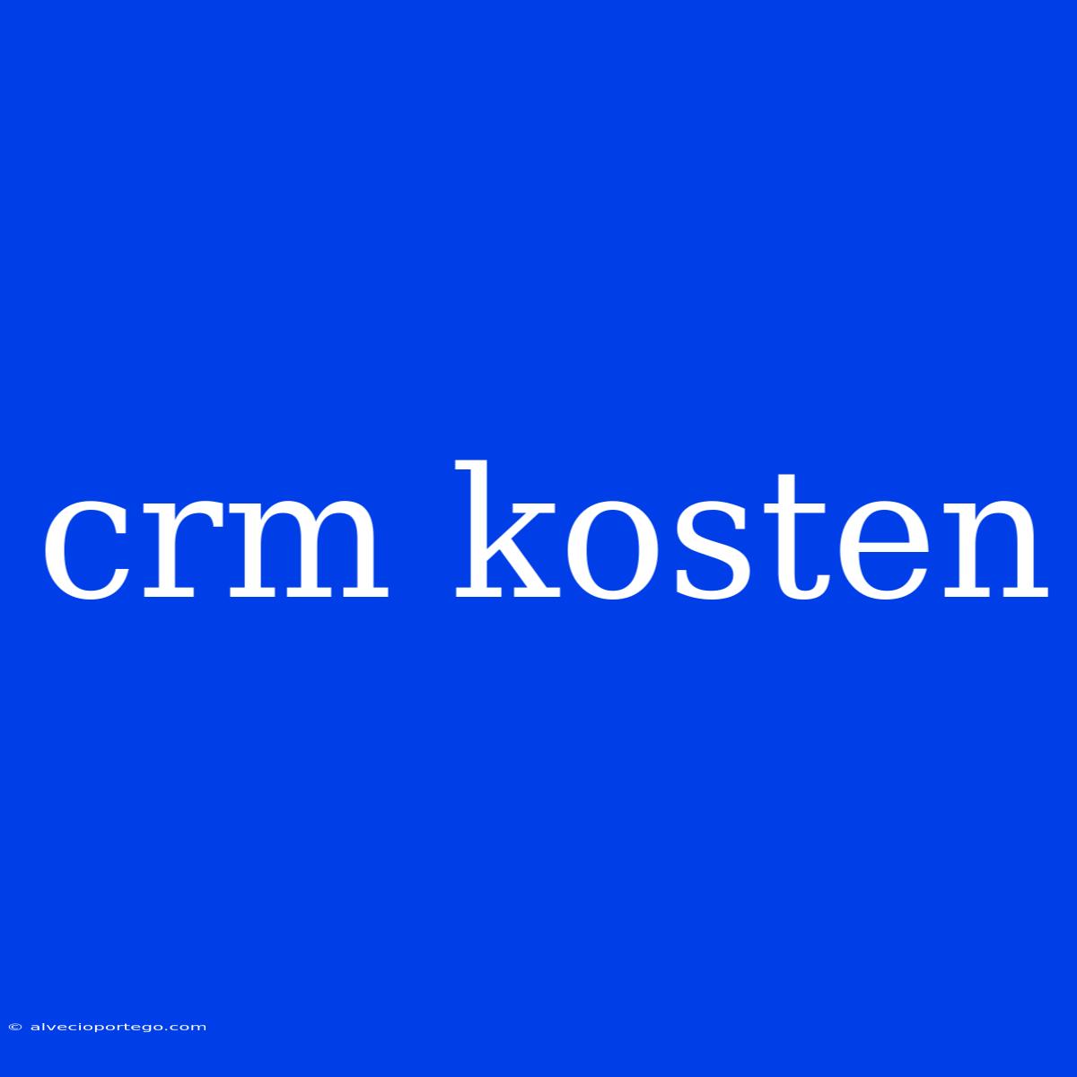 Crm Kosten