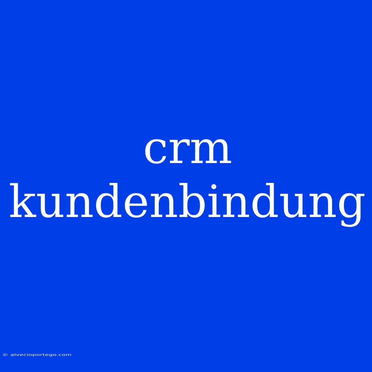 Crm Kundenbindung