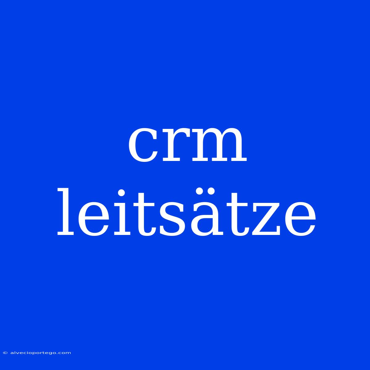 Crm Leitsätze