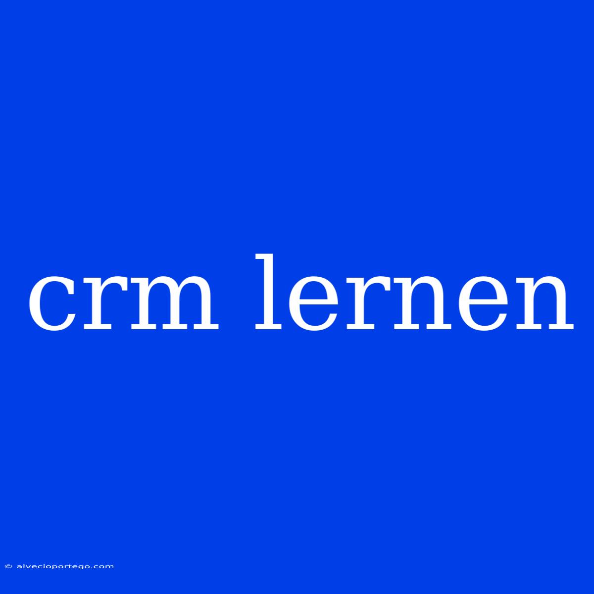 Crm Lernen