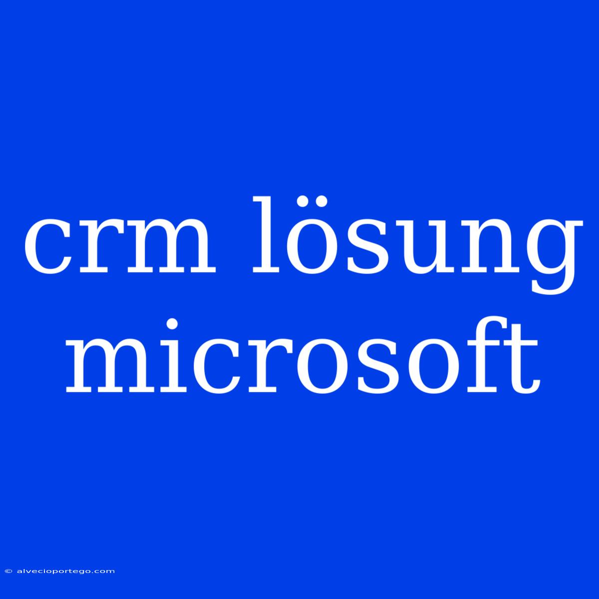 Crm Lösung Microsoft