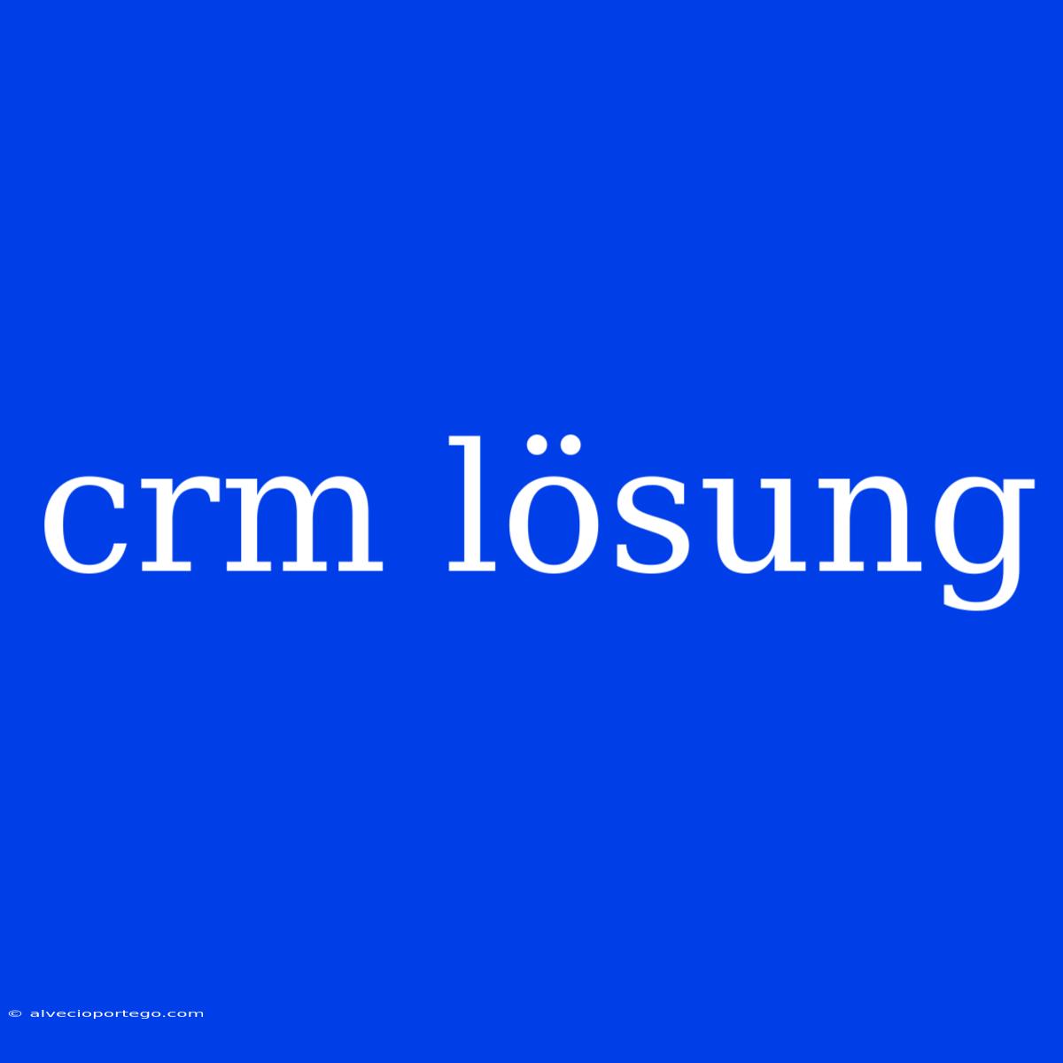 Crm Lösung