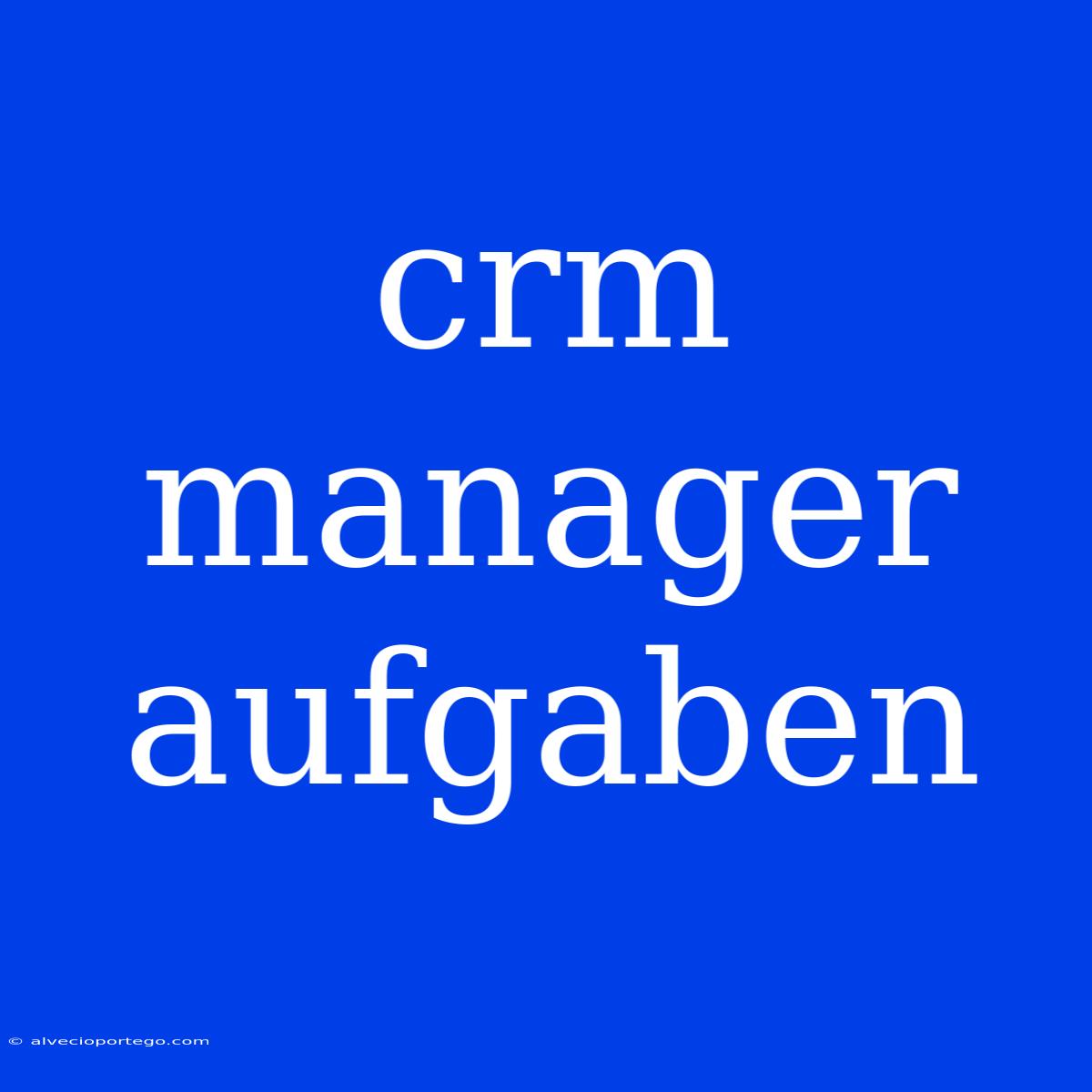 Crm Manager Aufgaben