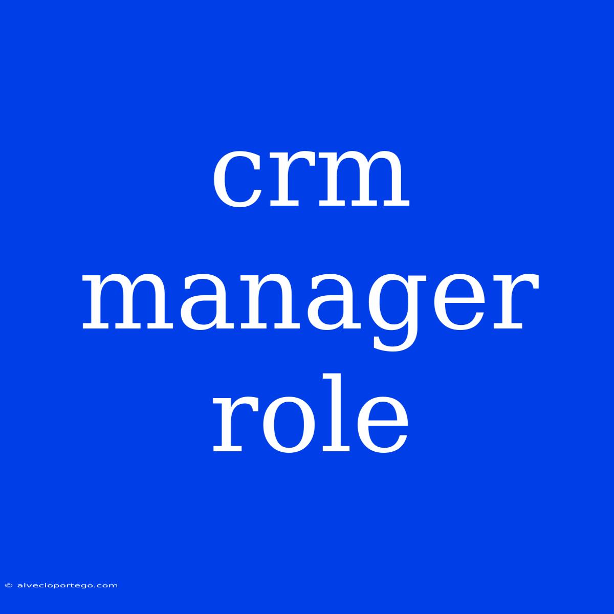 Crm Manager Role